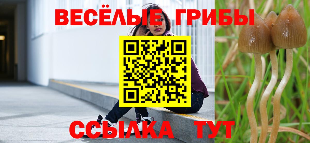 Псилоцибиновые грибы мицелий  Вход с VPN  Галлюциногенные грибы MAGIC MUSHROOMS  Дмитров 